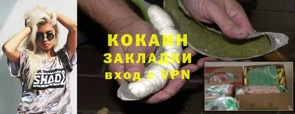ГАЛЛЮЦИНОГЕННЫЕ ГРИБЫ Алзамай