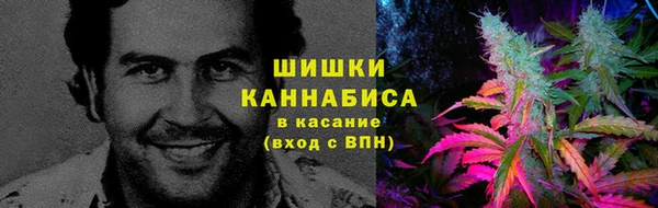 ГАЛЛЮЦИНОГЕННЫЕ ГРИБЫ Алзамай