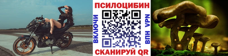 Галлюциногенные грибы ЛСД  хочу наркоту  Бокситогорск 