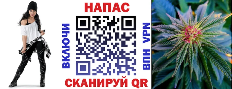 где продают наркотики  Бокситогорск  Бошки марихуана ГИДРОПОН 